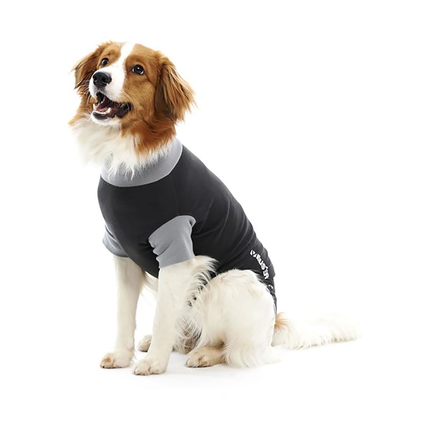 Buster Body Suit For Dogs Black/Grey