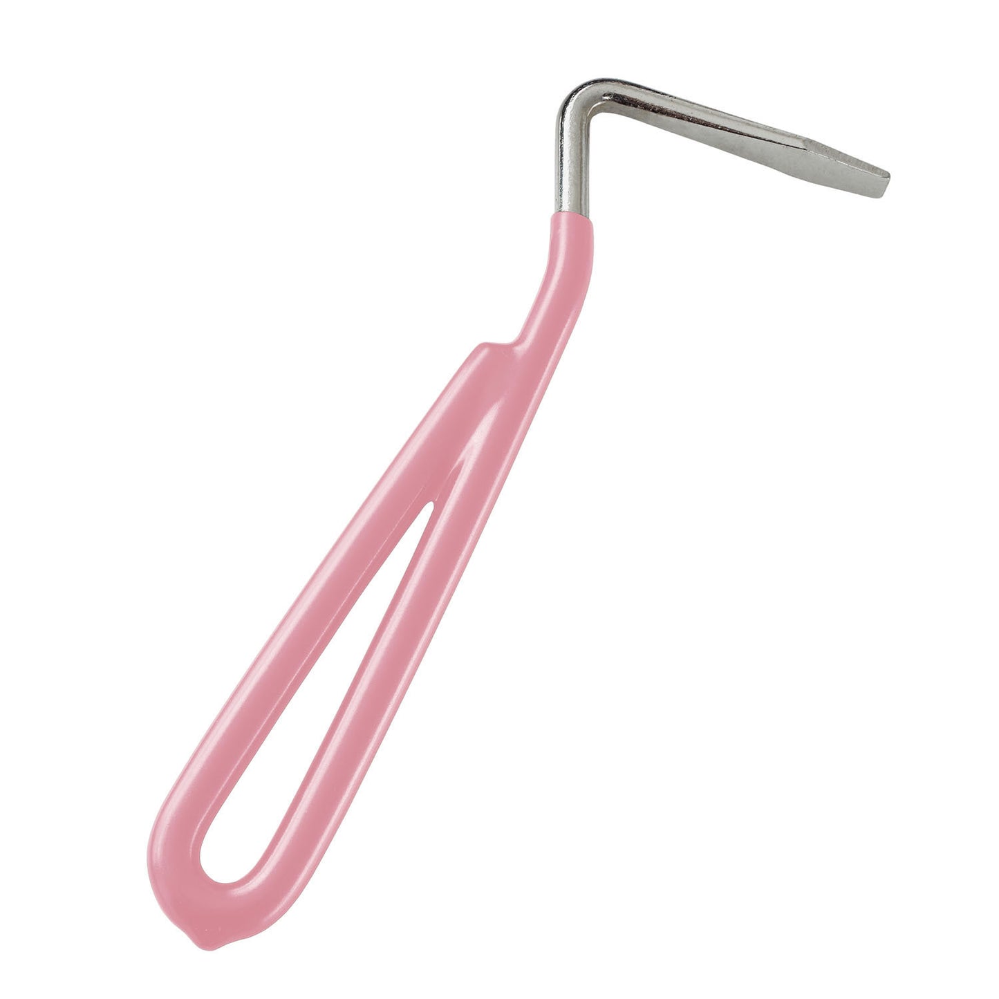 Bitz Hoof Pick Metal