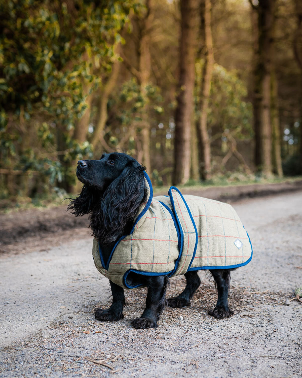 Danish Design Dog Coat Tweed
