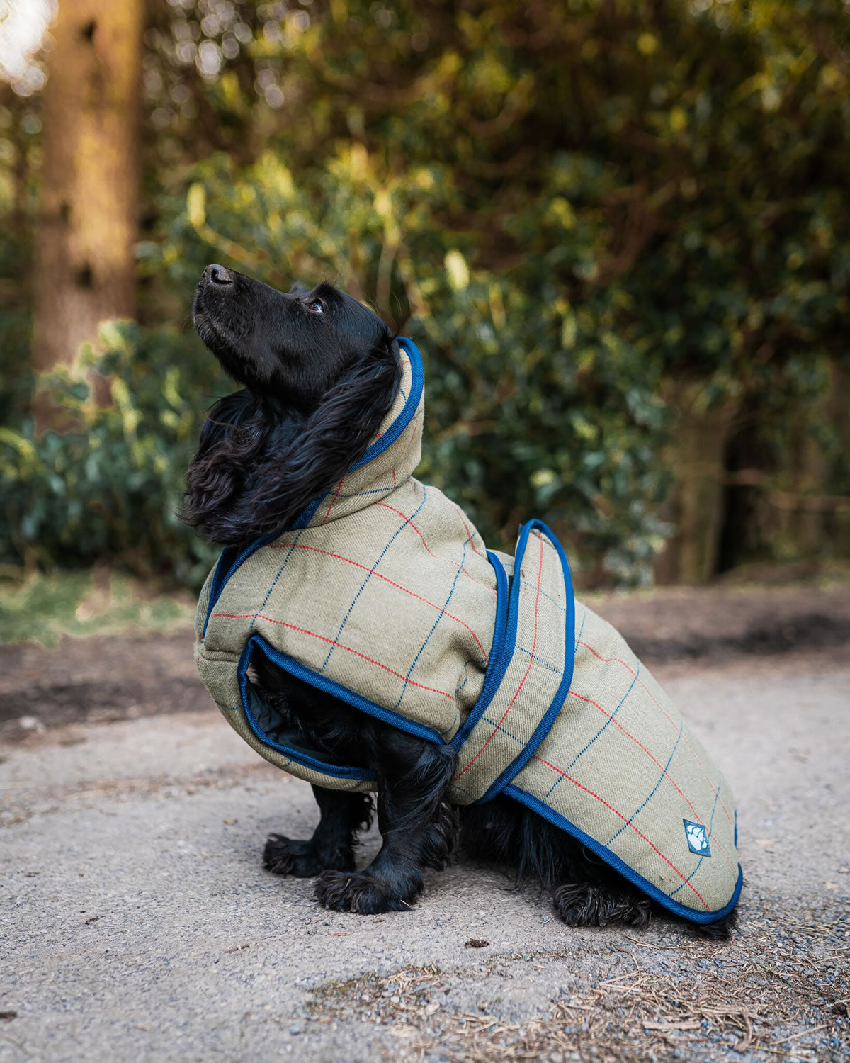 Danish Design Dog Coat Tweed