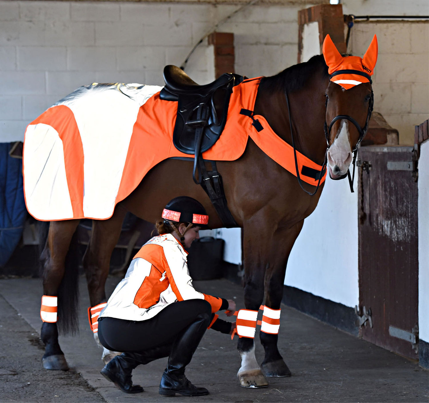 Equisafety Mercury Exercise Rug