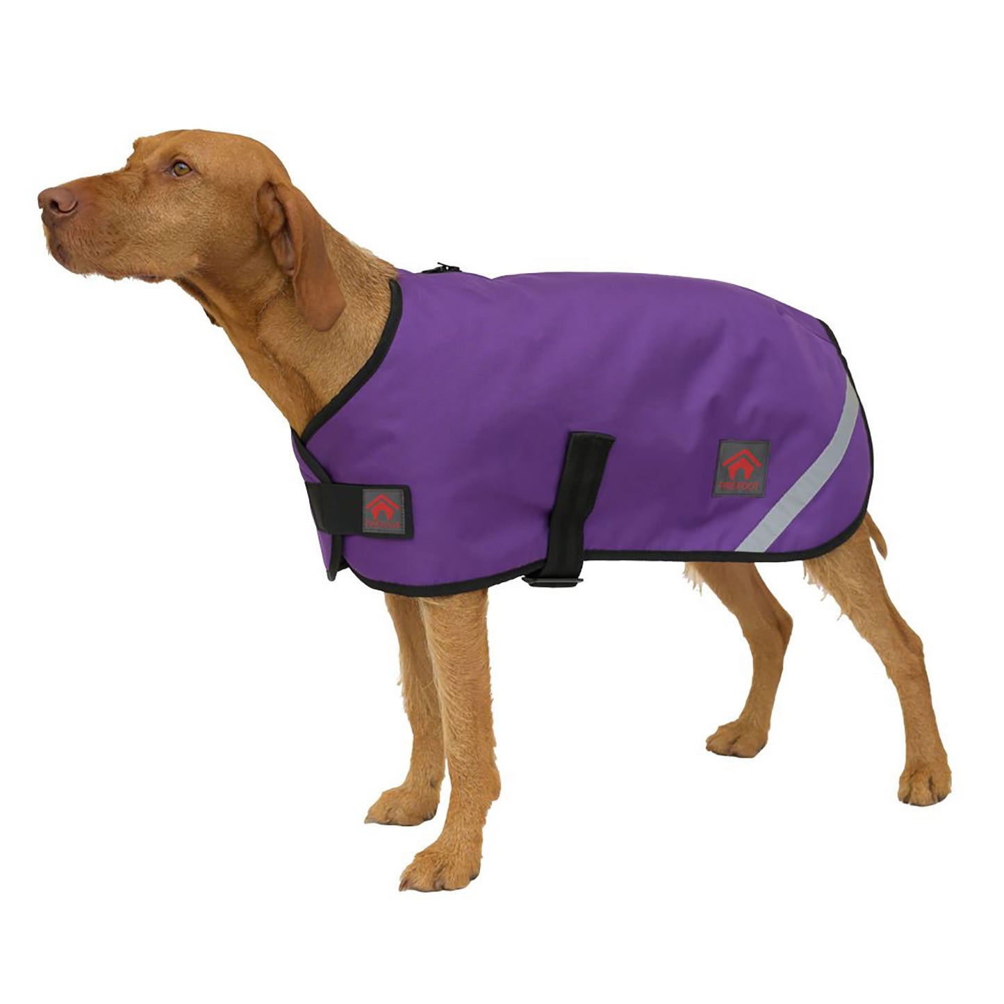 Fiefoot Outdoor Dog Coat With Fleecy Lining