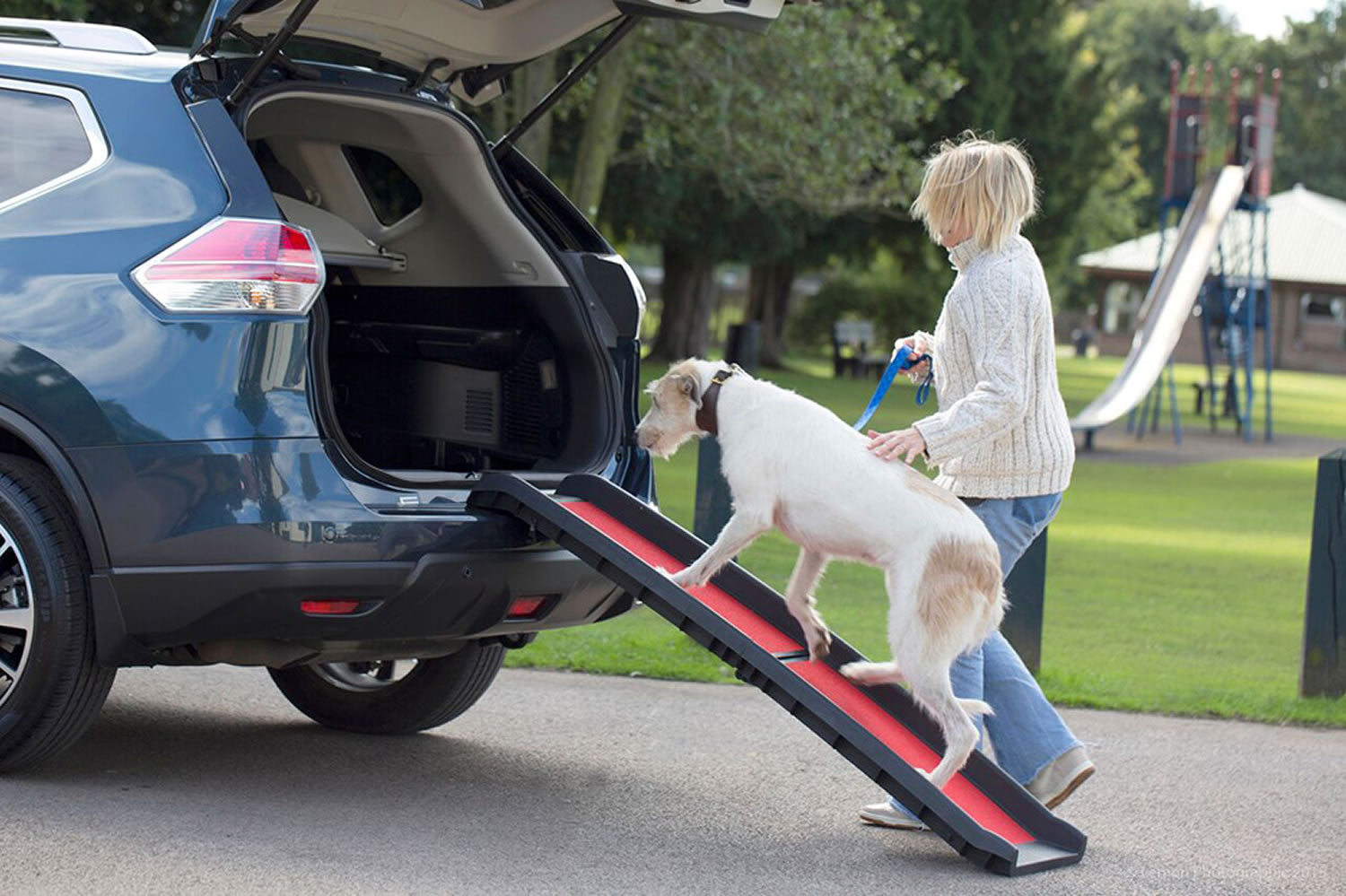 henry-wag-lightweight-folding-pet-ramp