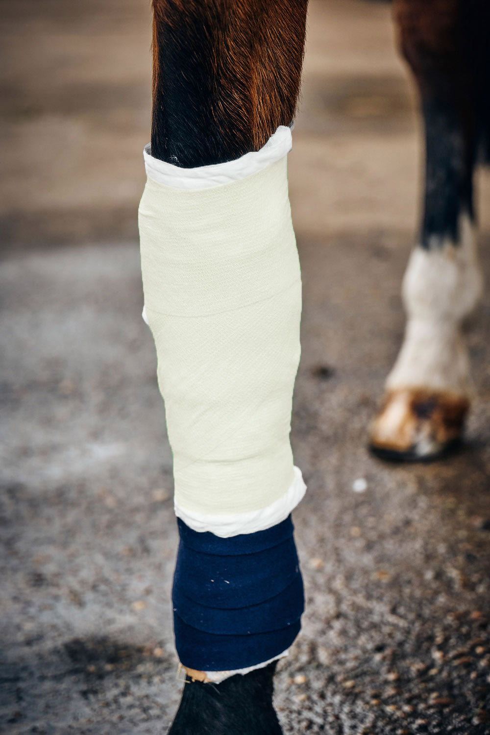 Robinsons Healthcare Equiwrap Bandage