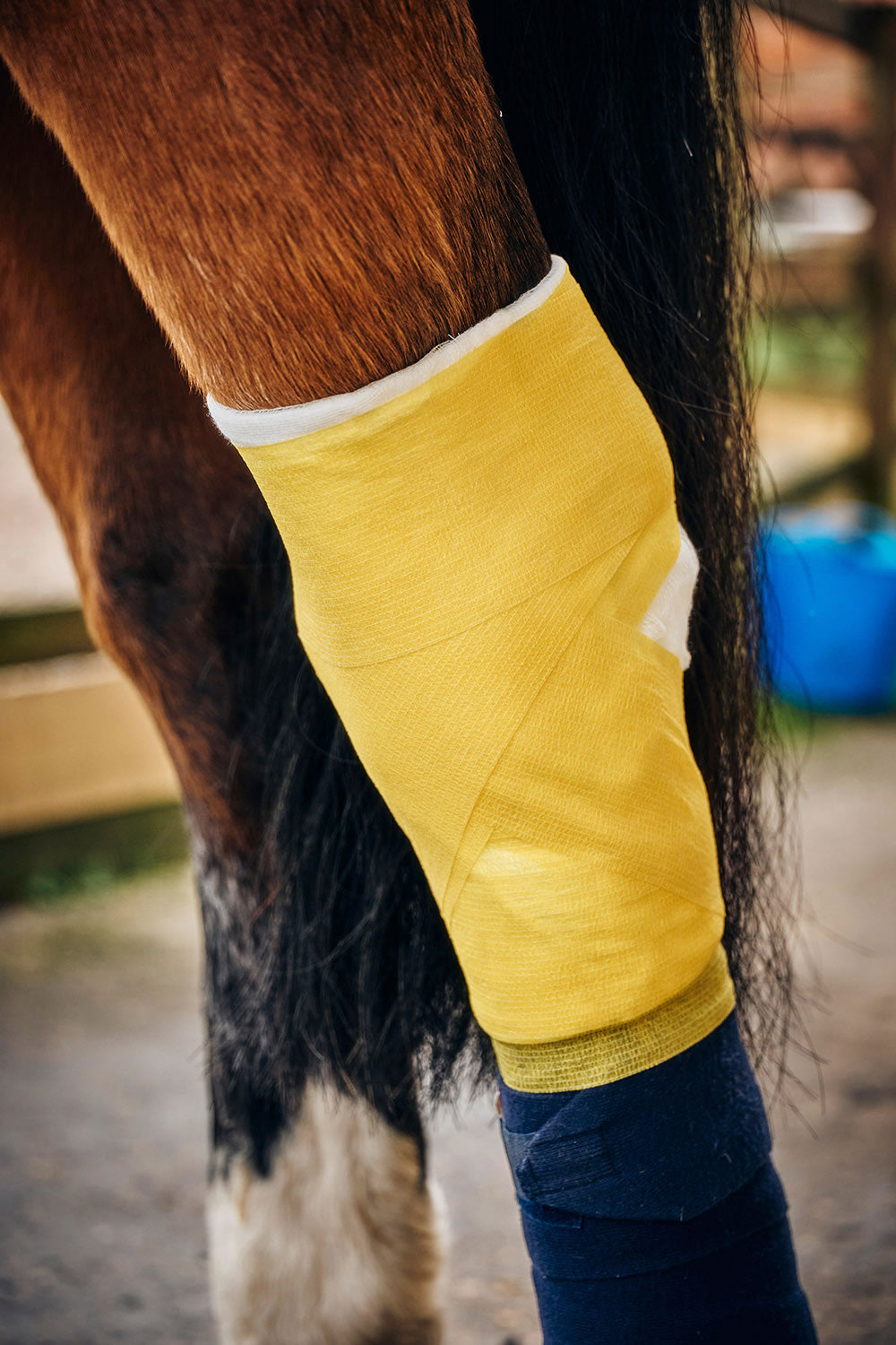 Robinsons Healthcare Equiwrap Bandage