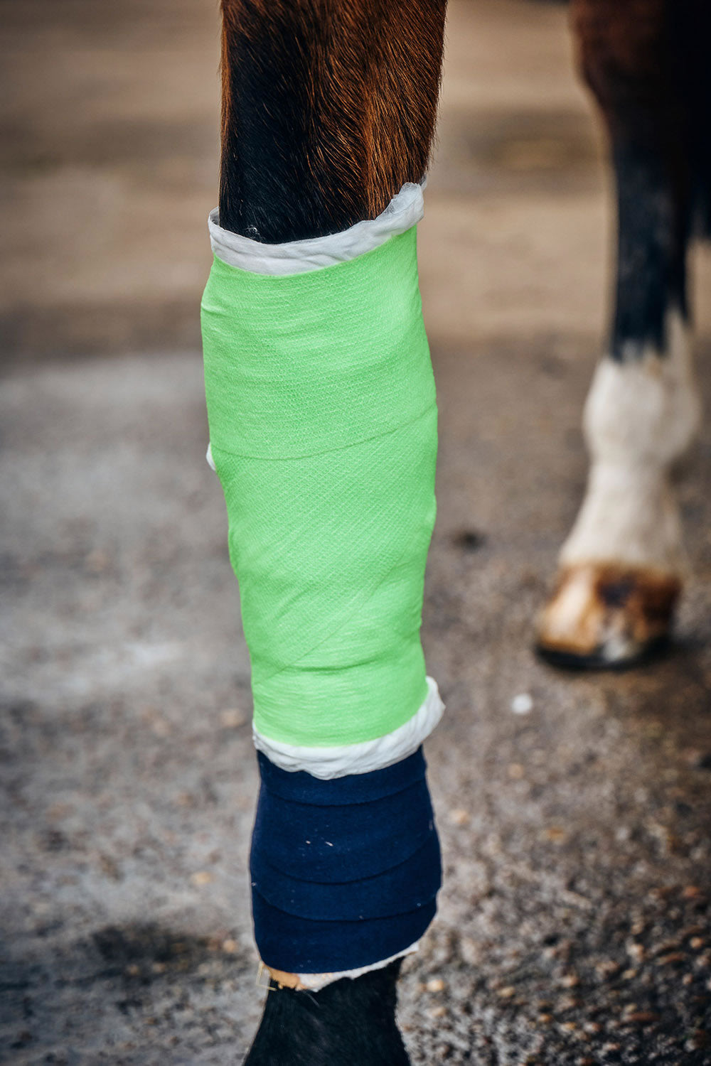 Robinsons Healthcare Equiwrap Bandage