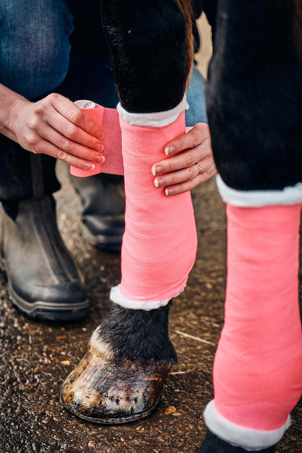 Robinsons Healthcare Equiwrap Bandage