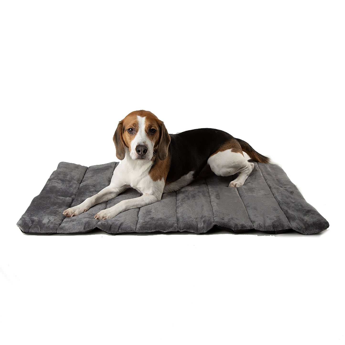 Scruffs Expedition Roll Up Travel Bed