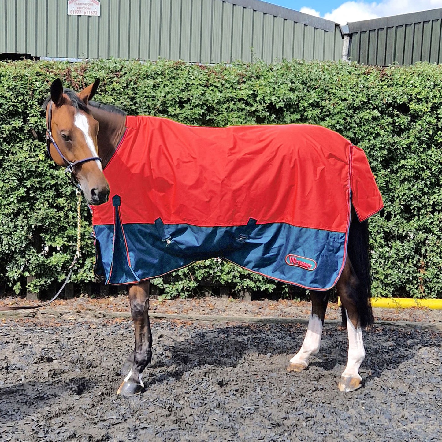 Whitaker Rudston Turnout Rug 50Gm