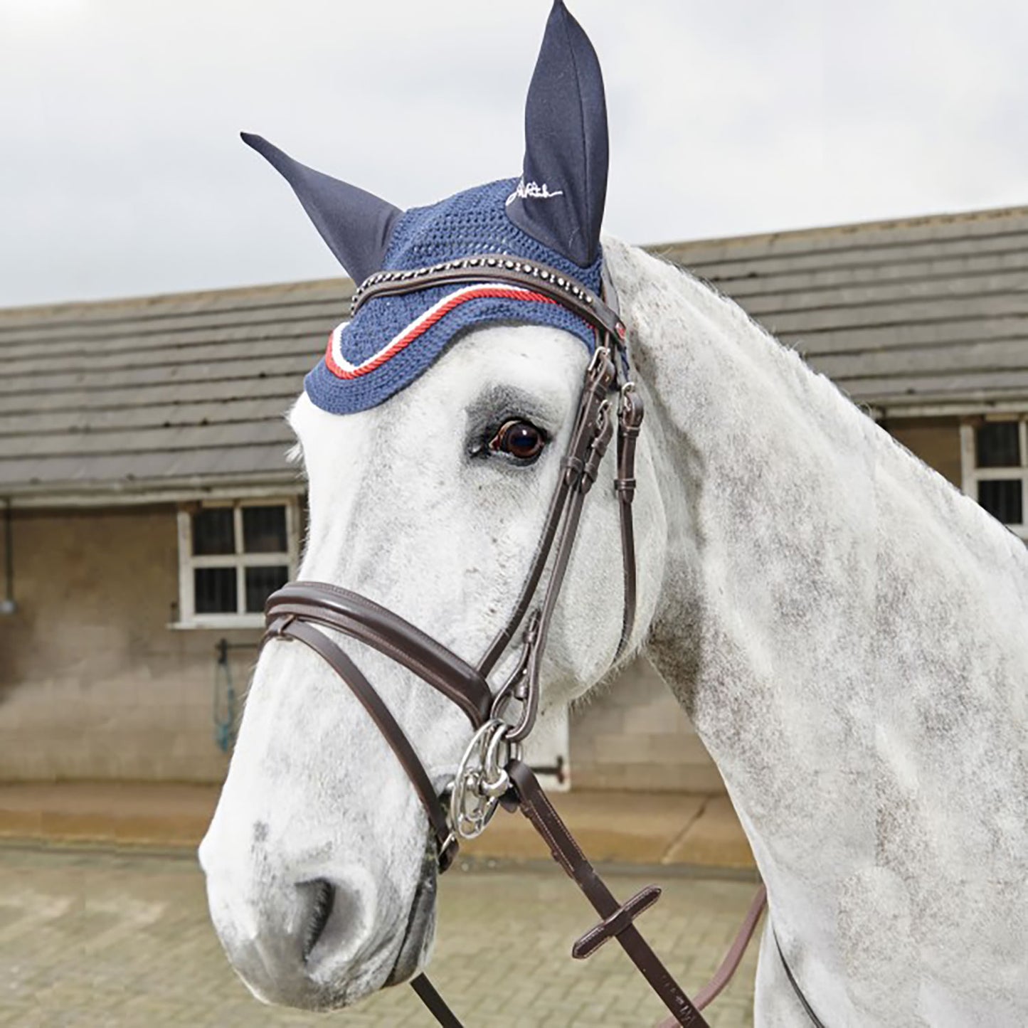 Whitaker Lynton Flash Bridle with Spare Browband