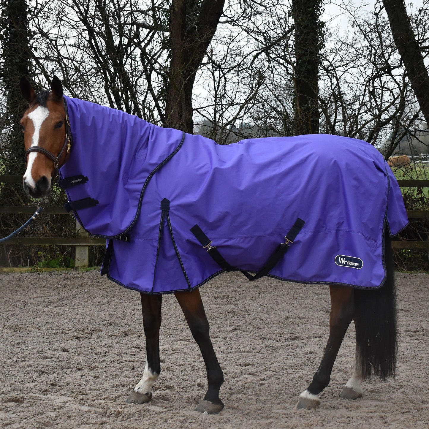 Whitaker Rastrick Turnout Rug Combo 0Gm