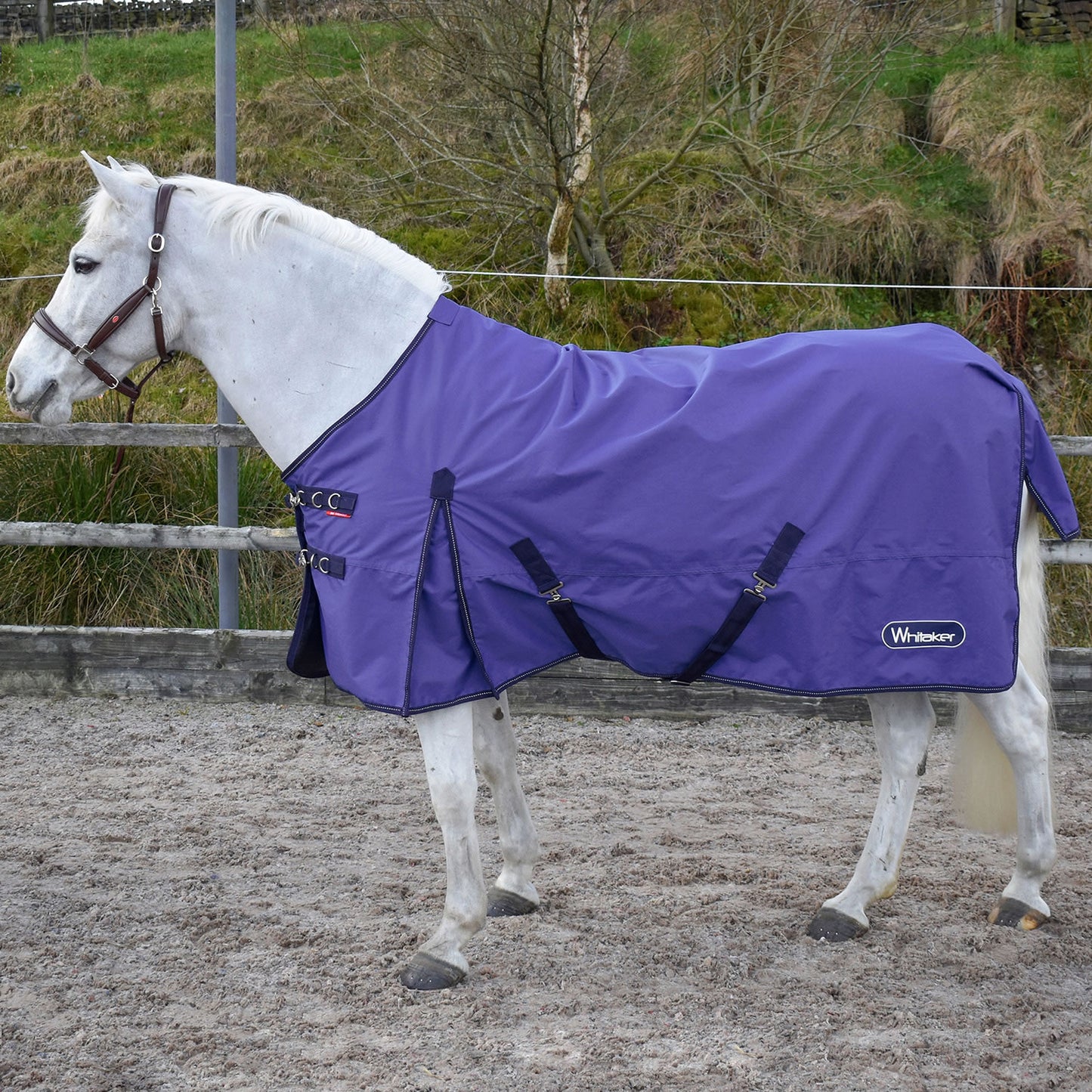 Whitaker Rastrick Turnout Rug Ogm