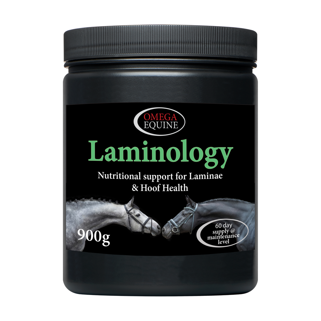 omega-equine-laminology
