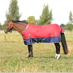 StormX Empra 200g Turnout Rug with Detachable Neck