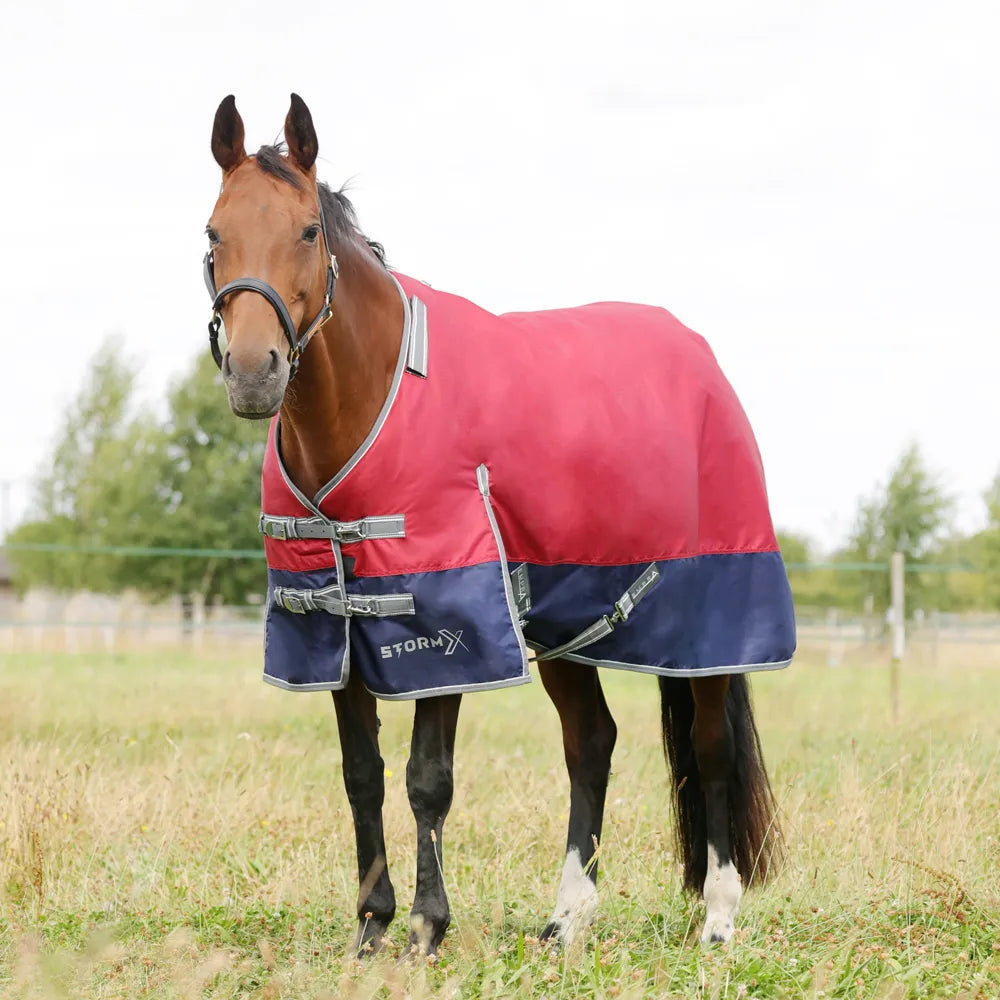 StormX Empra 200g Turnout Rug with Detachable Neck