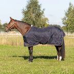 StormX Empra Luxury Show Rug