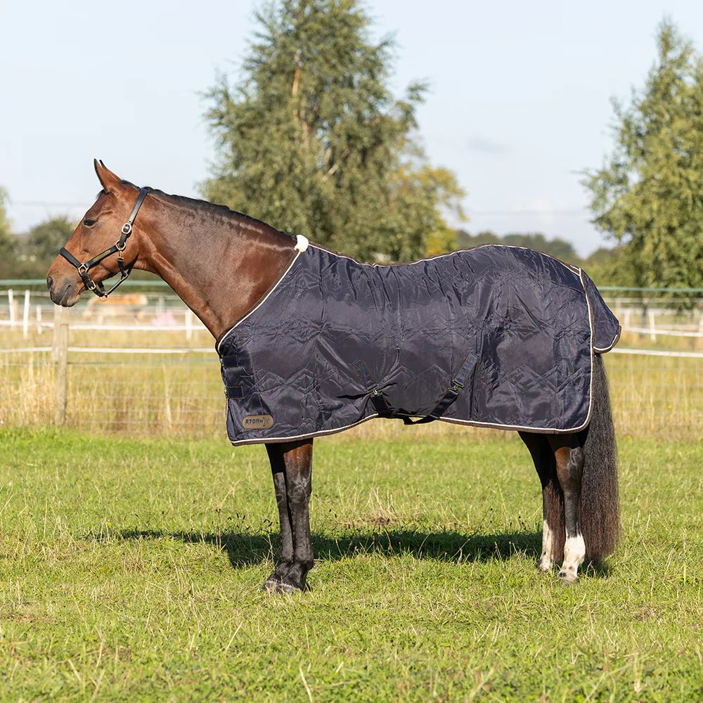 StormX Empra Luxury Show Rug