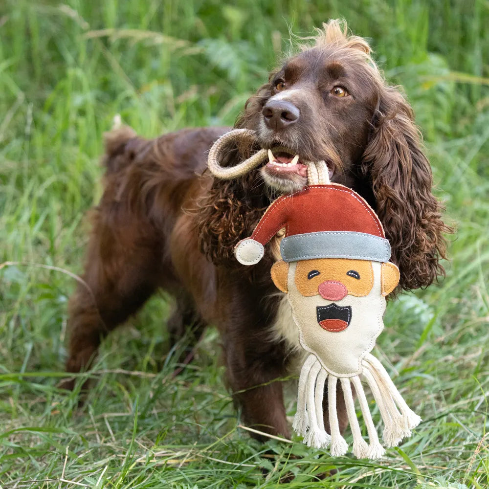 benji-flo-christmas-dog-toys-rope-santa-claus