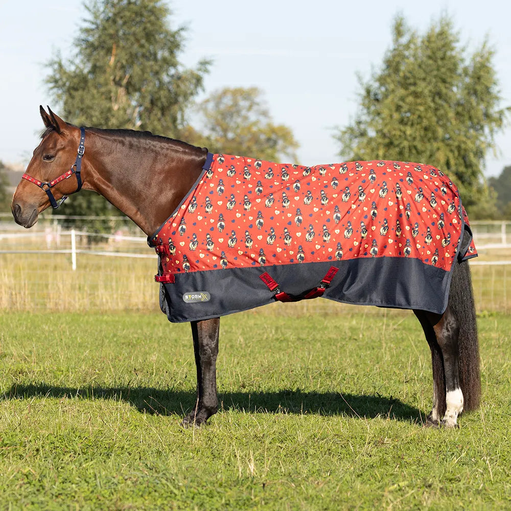 StormX Thelwall Balancing Act Original 50g Turnout Rug