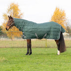 StormX Empra 300g Combi Stable Rug