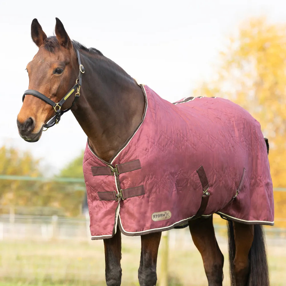 StormX Empra Luxury Show Rug