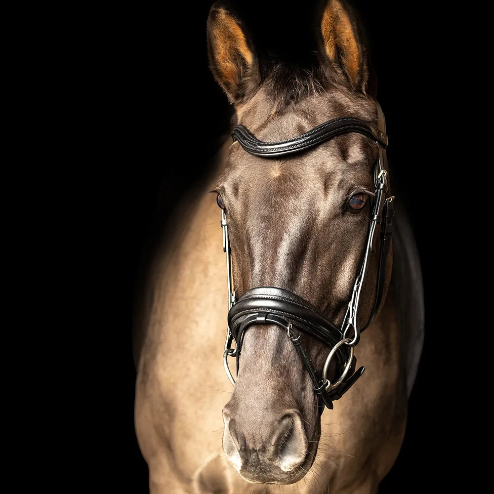 ProPresicce Pelle Crank Leather Bridle