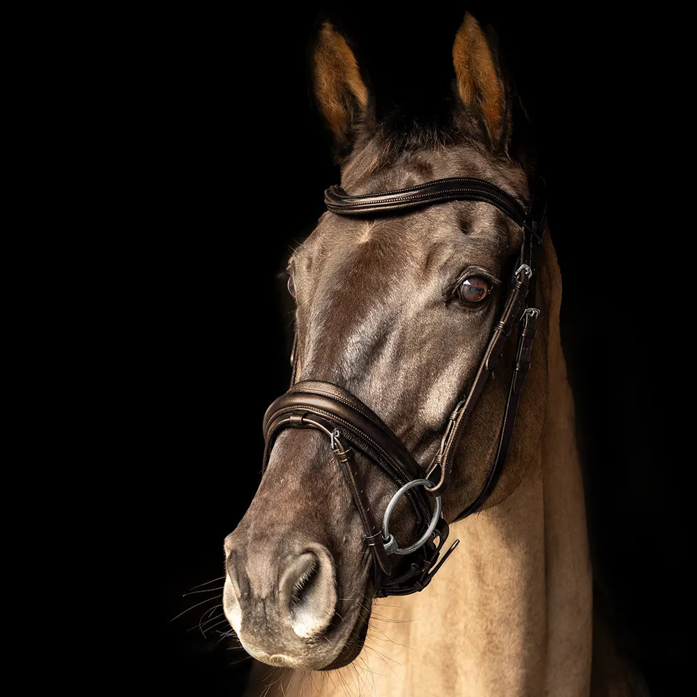 ProPresicce Pelle Crank Leather Bridle