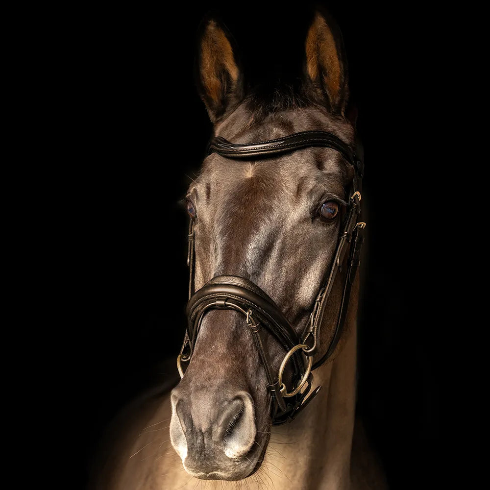 ProPresicce Pelle Crank Leather Bridle
