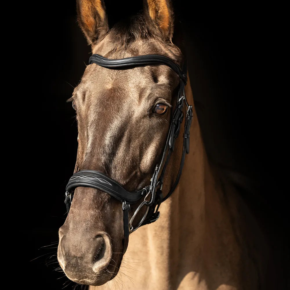 ProPresicce Pelle Drop Leather Bridle