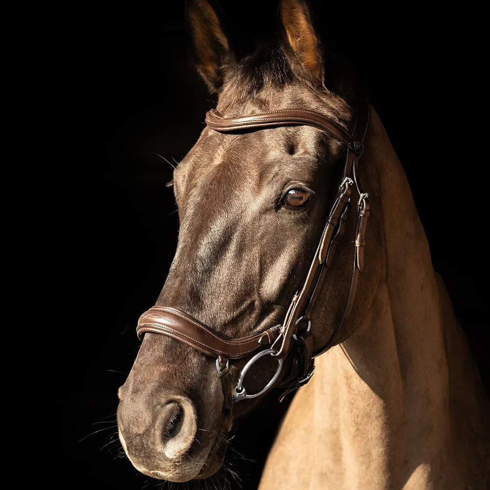 ProPresicce Pelle Drop Leather Bridle