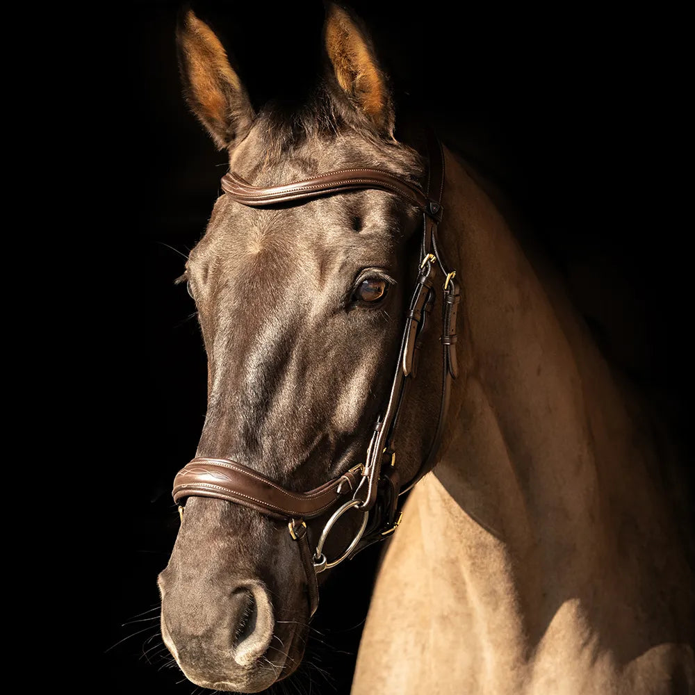 ProPresicce Pelle Drop Leather Bridle