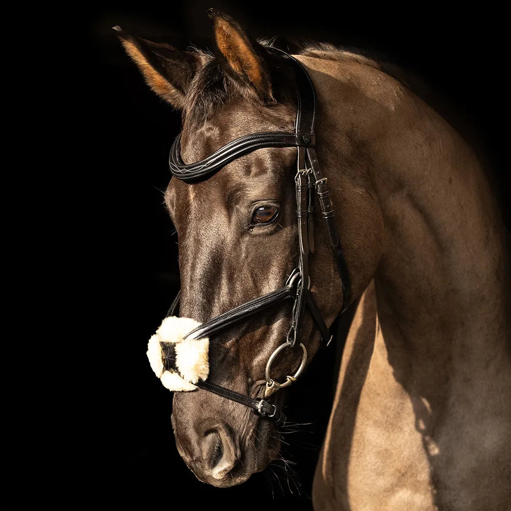 ProPresicce Pelle Grackle Leather Bridle