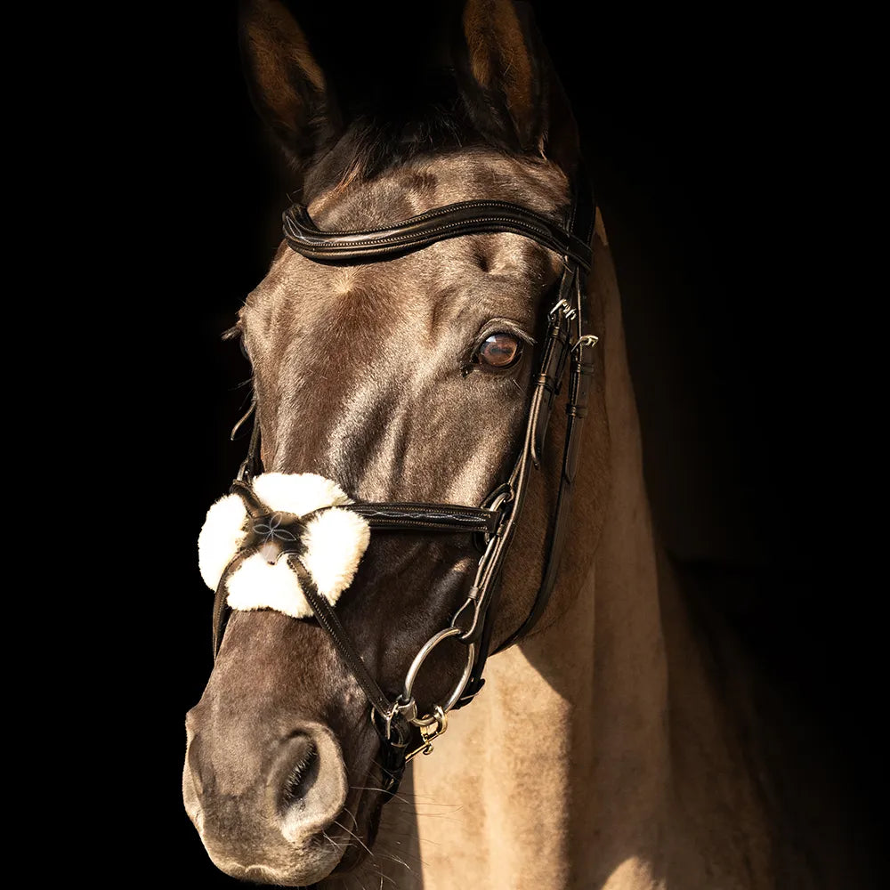 ProPresicce Pelle Grackle Leather Bridle