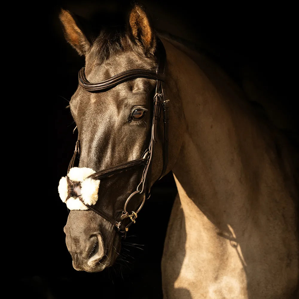 ProPresicce Pelle Grackle Leather Bridle