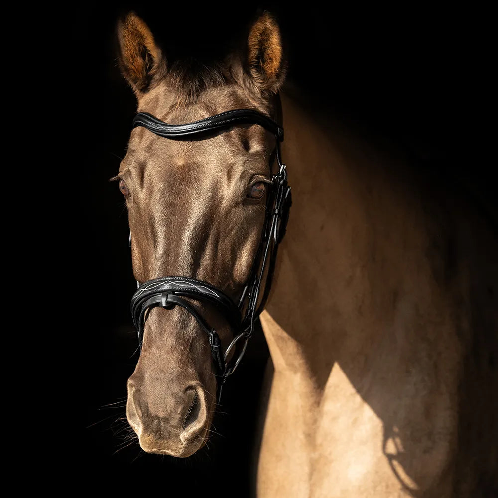 ProPresicce Pelle Raised Flash Leather Bridle