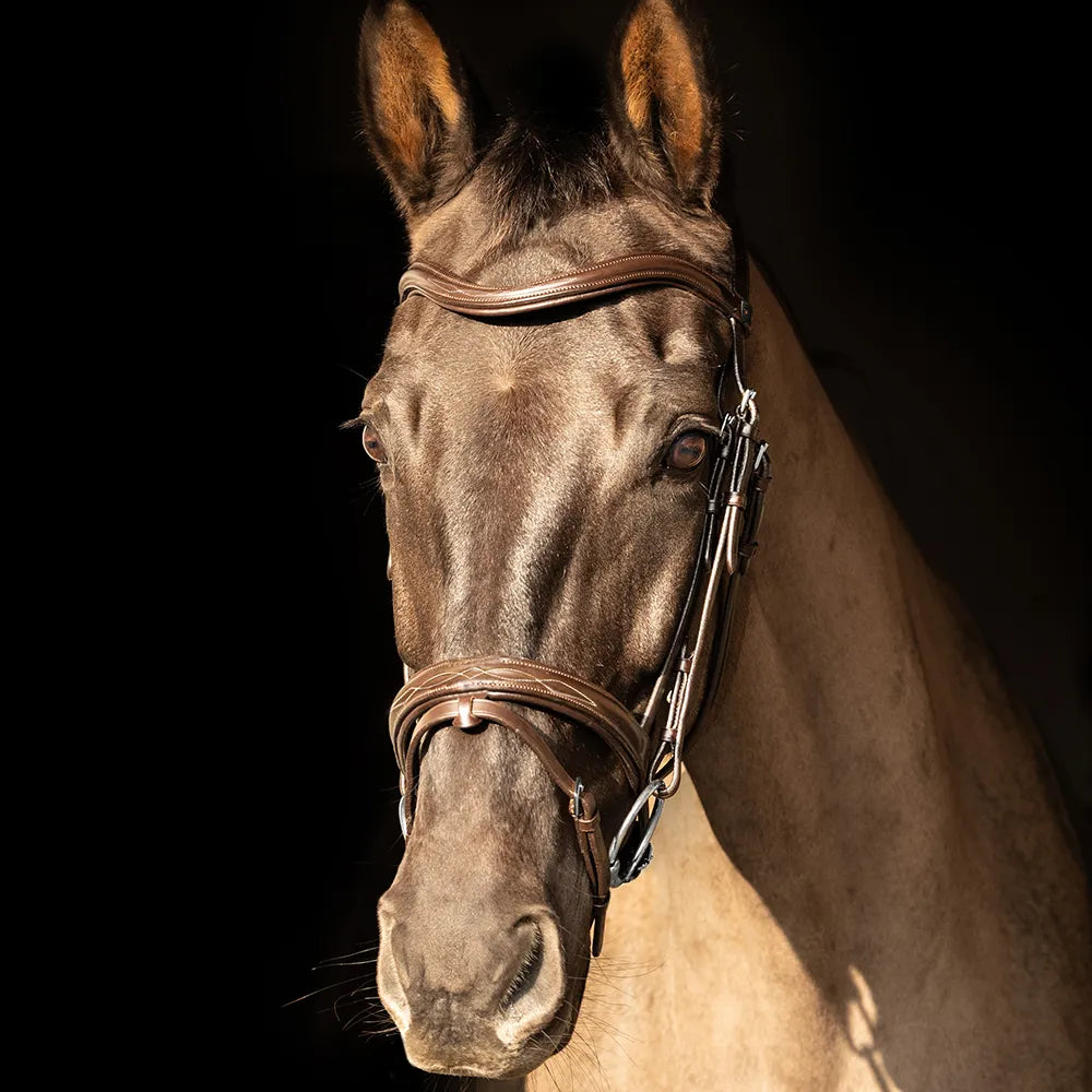 ProPresicce Pelle Raised Flash Leather Bridle