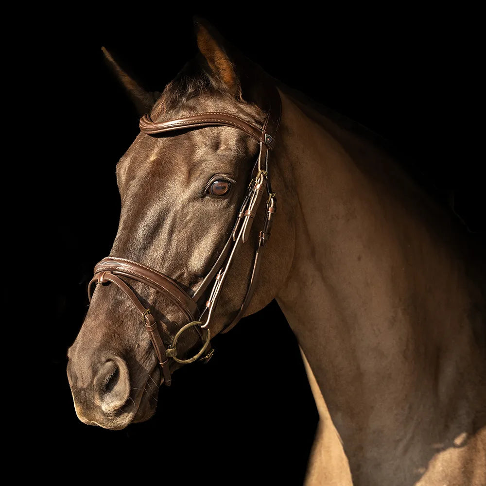 ProPresicce Pelle Raised Flash Leather Bridle