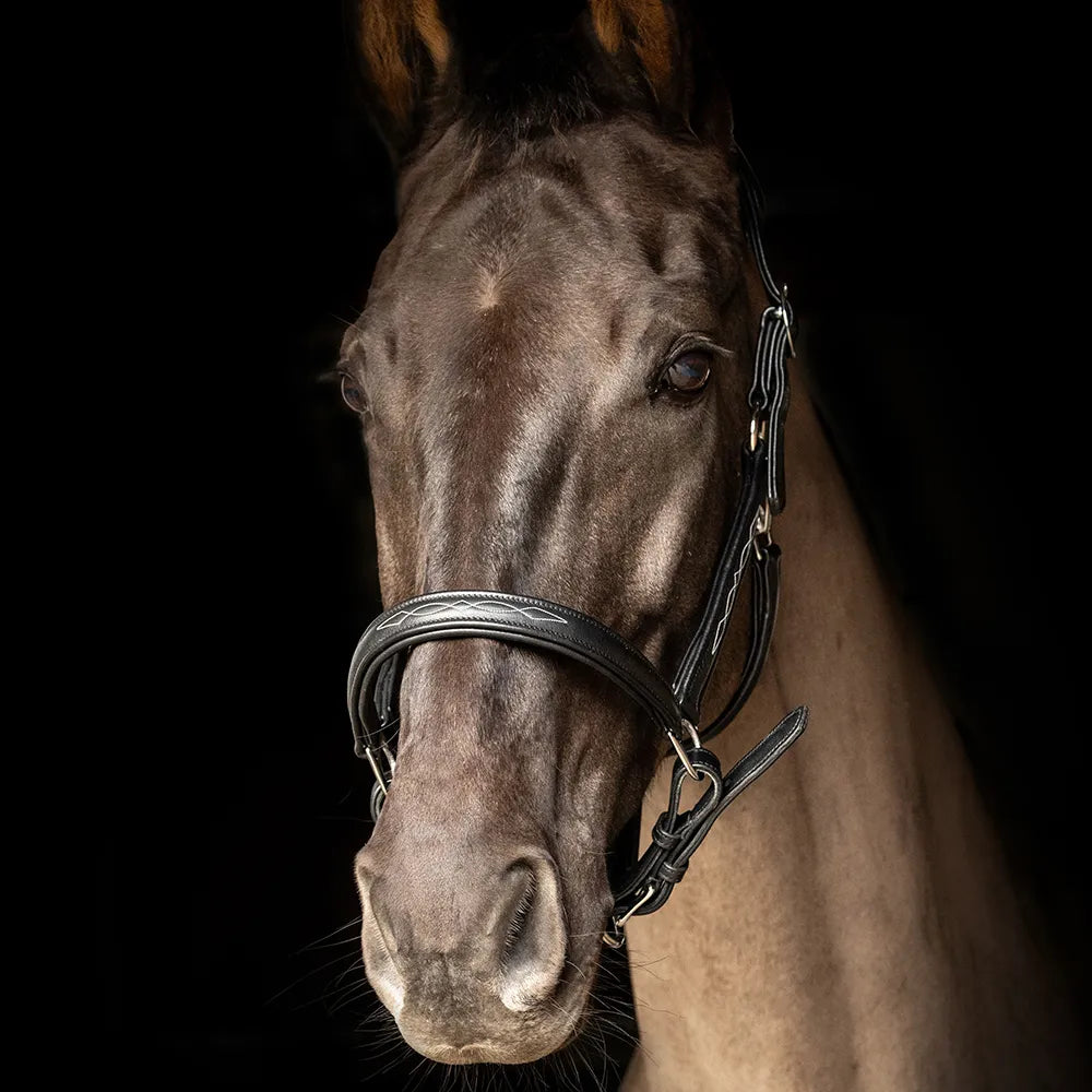 ProPresicce Softy Leather Head Collar