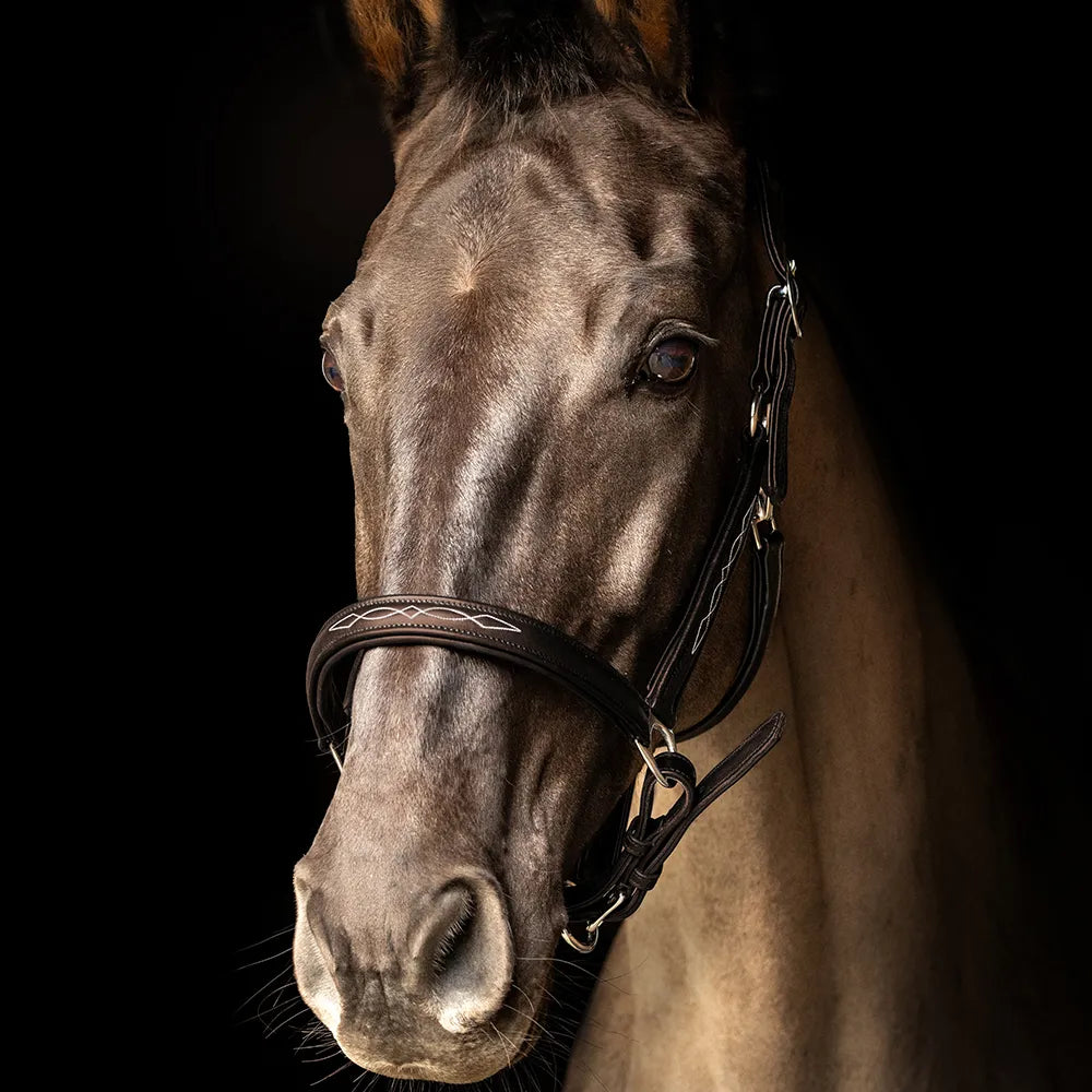 ProPresicce Softy Leather Head Collar