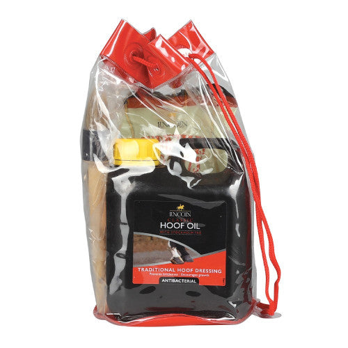 lincoln-christmas-gift-bag
