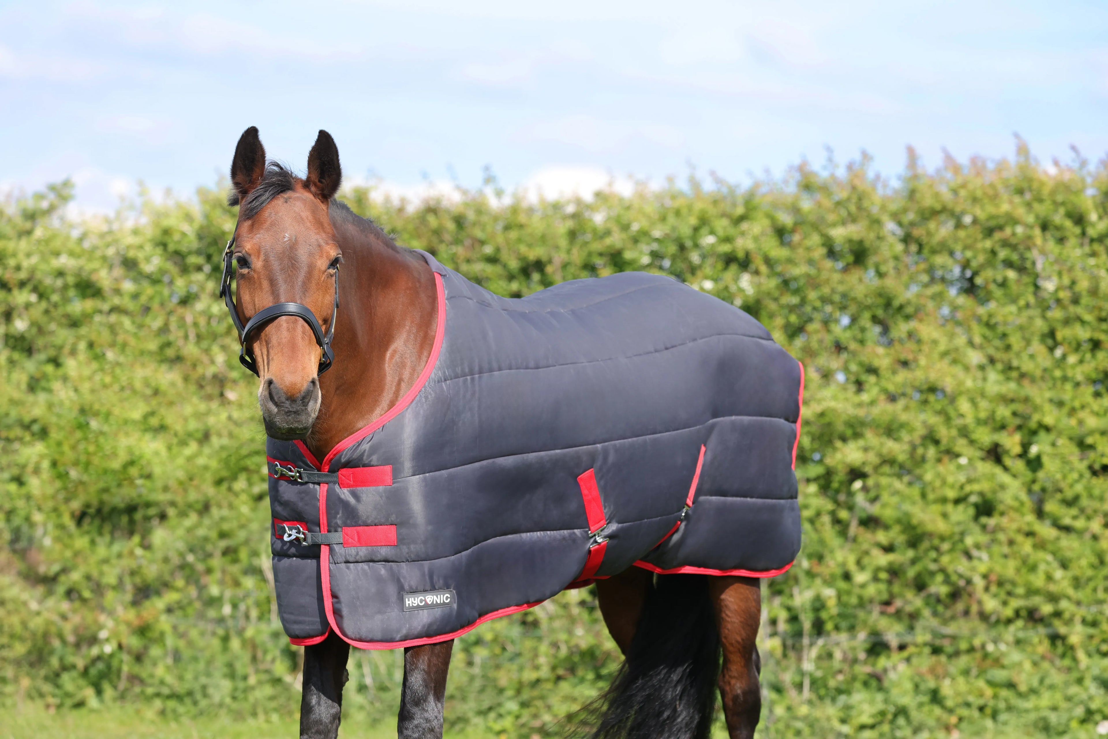 HyCONIC 250g Stable Rug