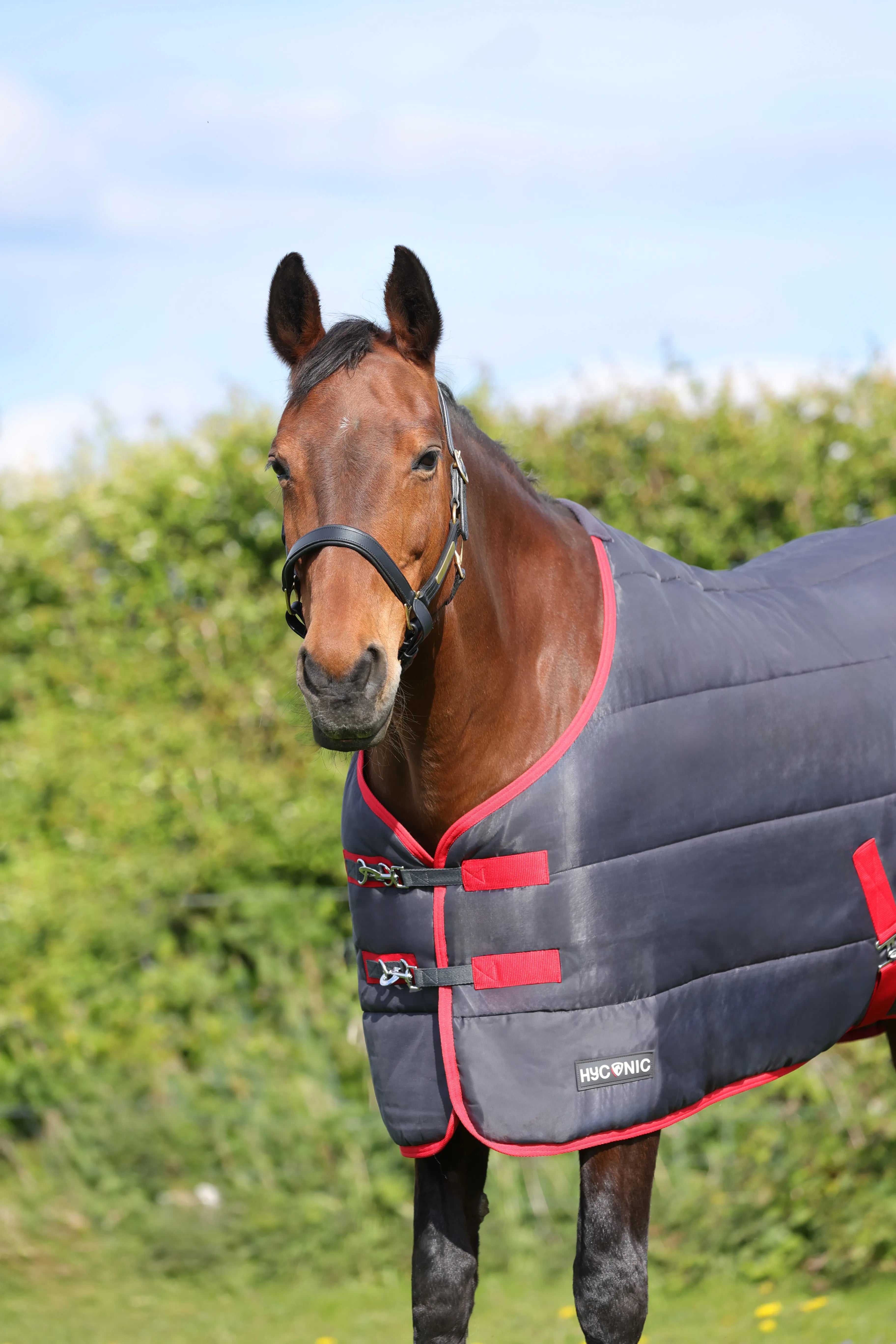 HyCONIC 250g Stable Rug