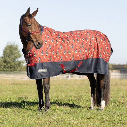 StormX Original 100 Turnout Rug - Thelwell Collection Balancing Act