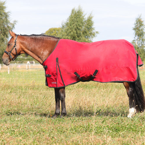 HyCONIC 50g Turnout Rug