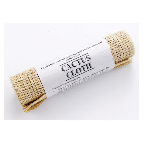 lincoln-cactus-cloth