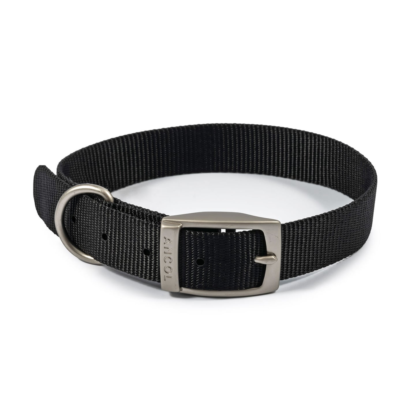 Ancol Viva Buckle Collar