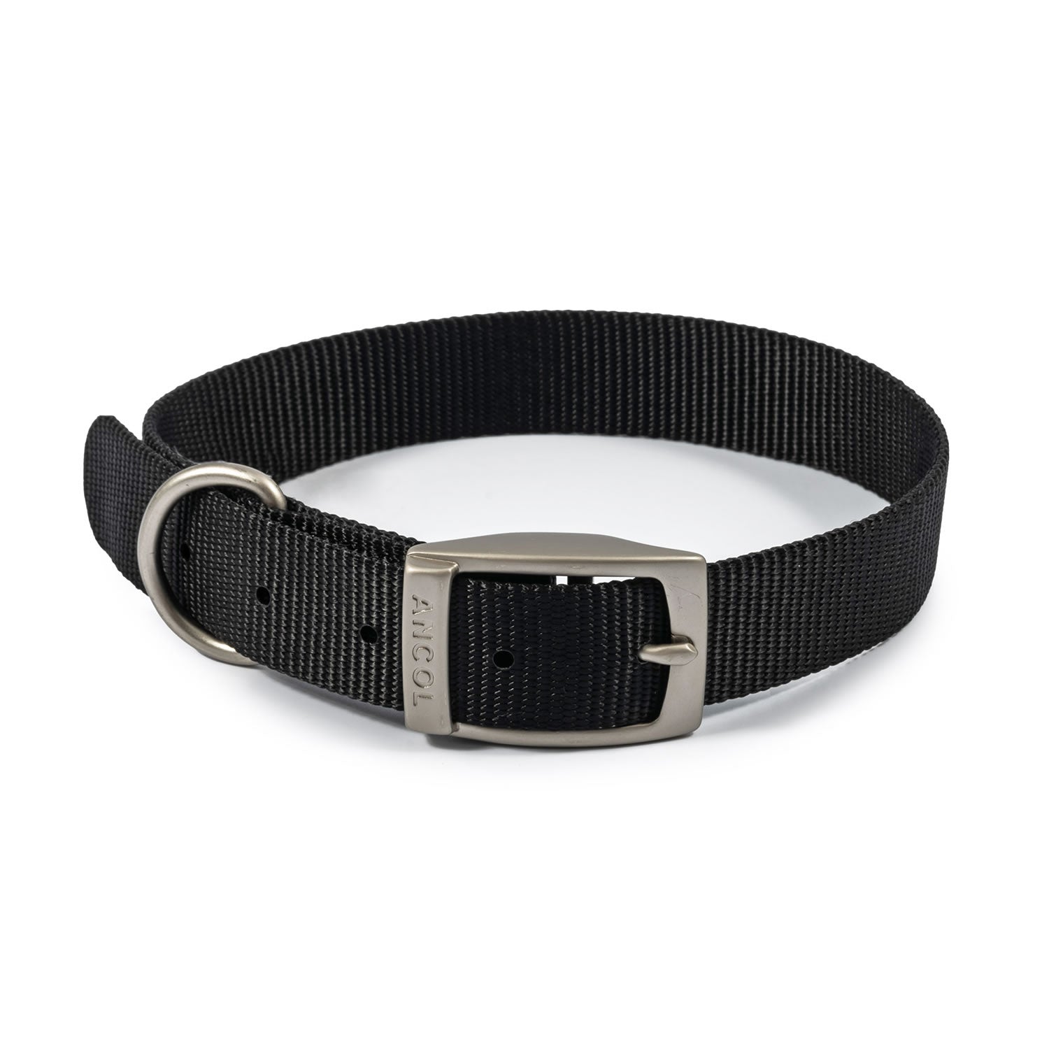 Ancol Viva Buckle Collar