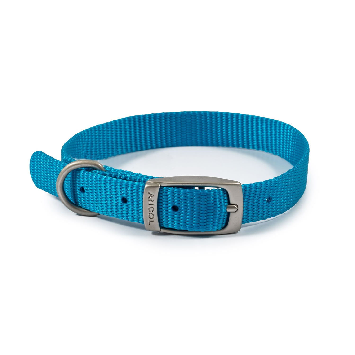 Ancol Viva Buckle Collar