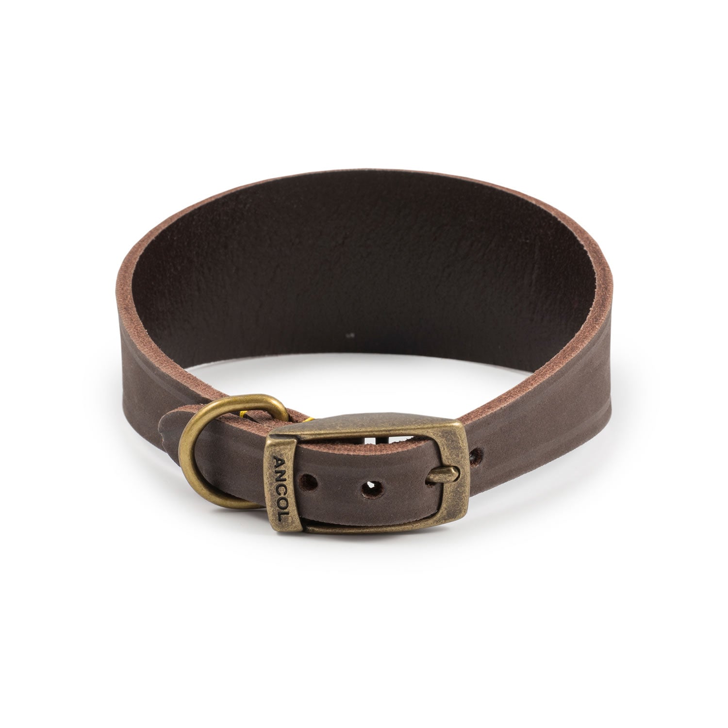 Ancol Timberwolf Hound Collar