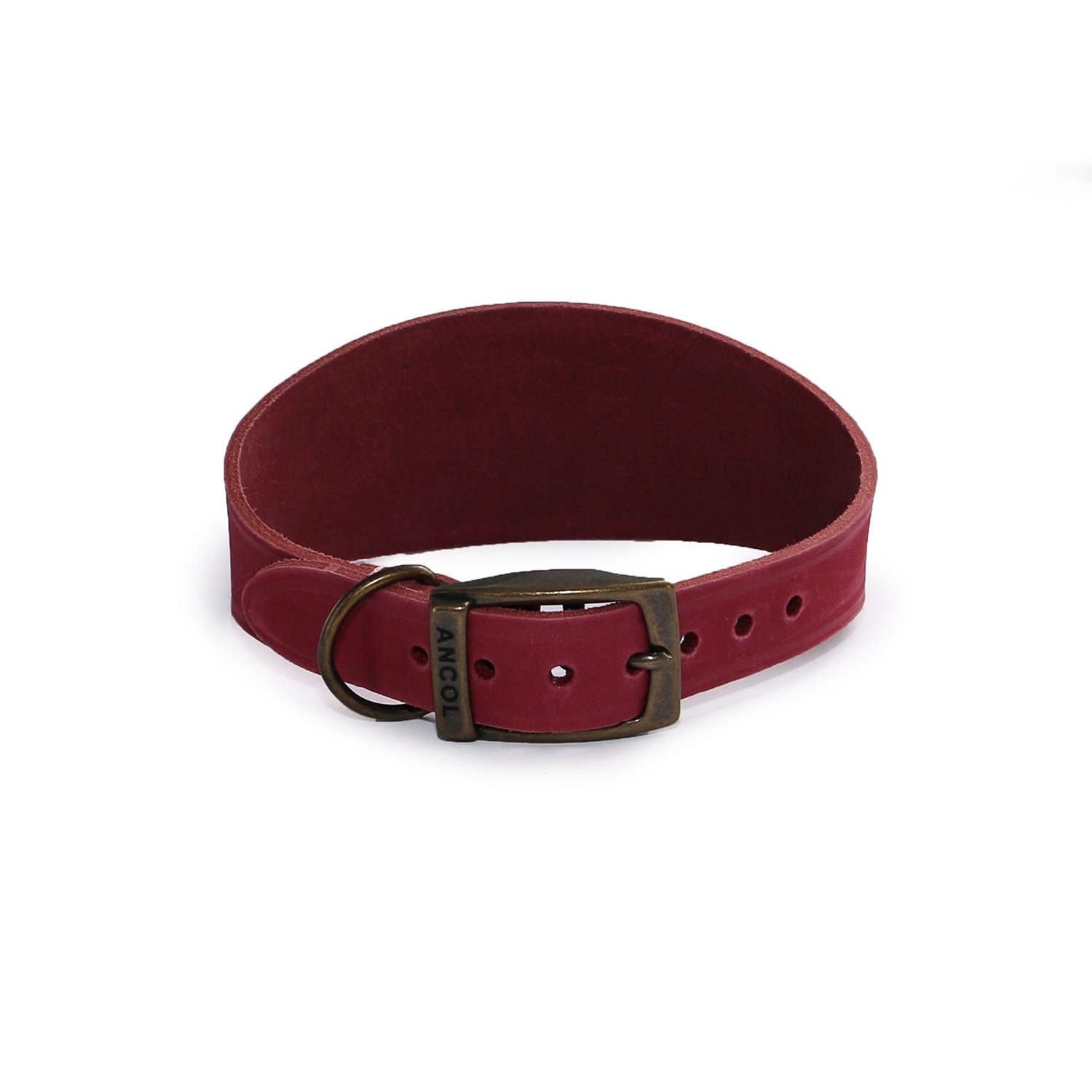 Ancol Timberwolf Hound Collar